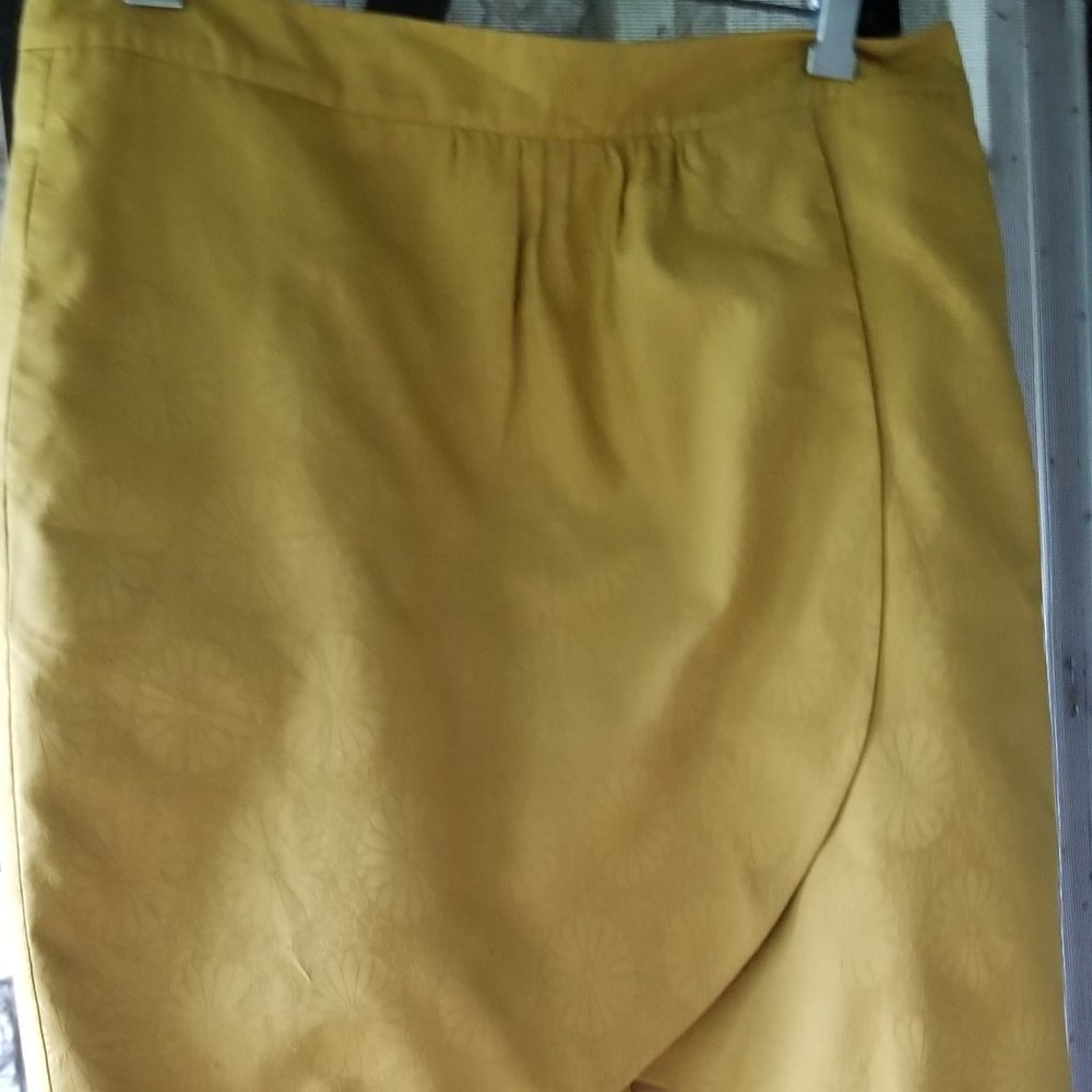Anthropologie skirt